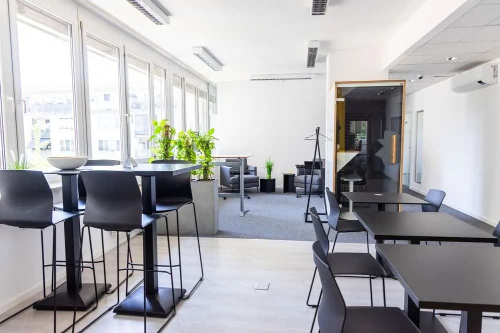 Gewerbeimmobilie mieten in Wien – 250 m² – Bild 3 von 5