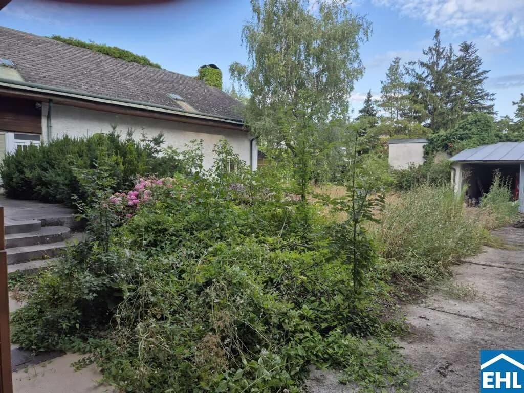 Gewerbeimmobilie kaufen in Wien – 1 444 m², € 1.750.000 – Bild 2 von 6
