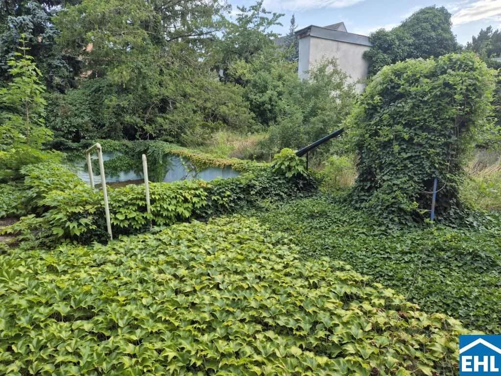Gewerbeimmobilie kaufen in Wien – 1 444 m², € 1.750.000 – Bild 4 von 6