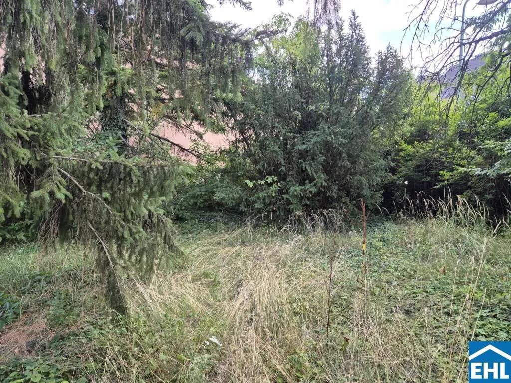 Gewerbeimmobilie kaufen in Wien – 1 444 m², € 1.750.000 – Bild 5 von 6