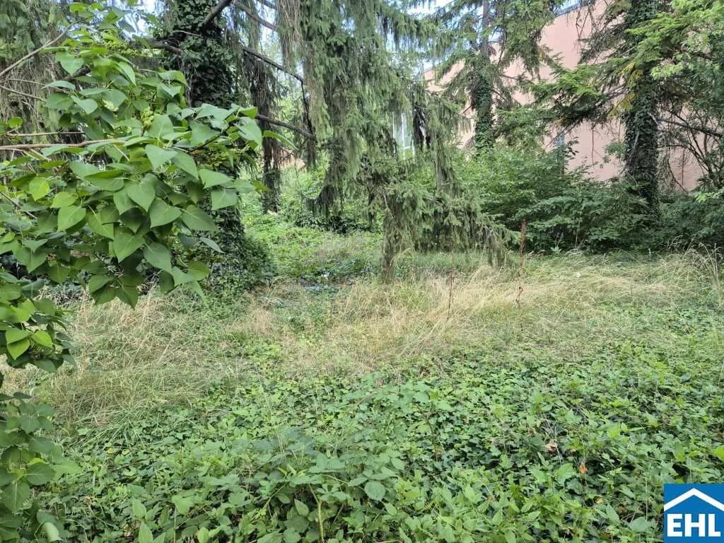 Gewerbeimmobilie kaufen in Wien – 1 444 m², € 1.750.000 – Bild 6 von 6