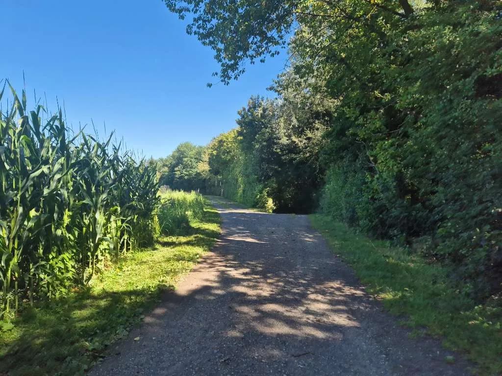 3-Zimmer-Wohnung mieten in Südoststeiermark – 57 m², € 658 – Bild 13 von 15