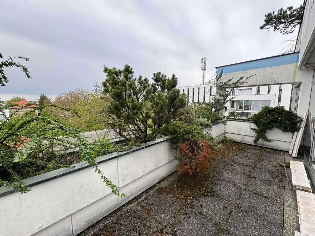 Gewerbeimmobilie kaufen in Wels – 1 616 m², € 1.400.000 – Bild 37 von 49