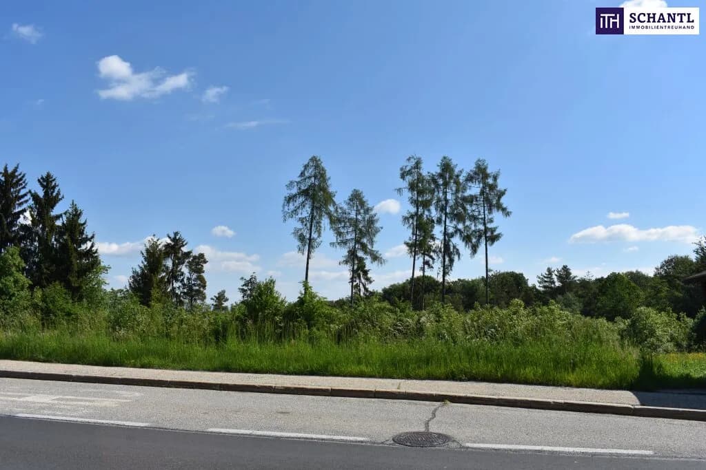 Grundstück kaufen in Graz-Umgebung – 5 194 m², € 1.545.000 – Bild 2 von 23