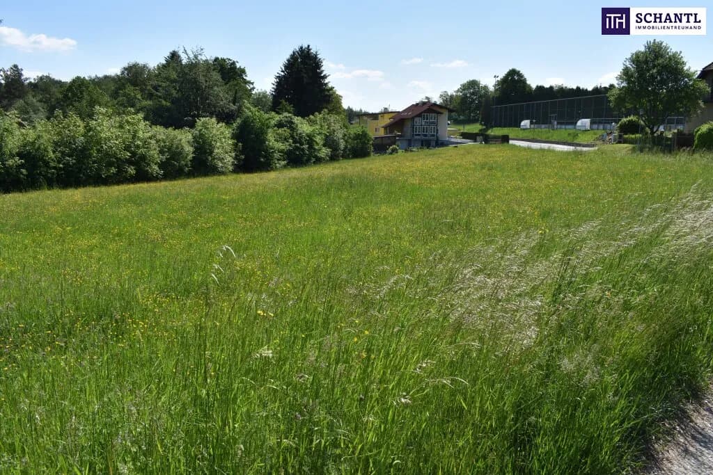 Grundstück kaufen in Graz-Umgebung – 5 194 m², € 1.545.000 – Bild 4 von 23