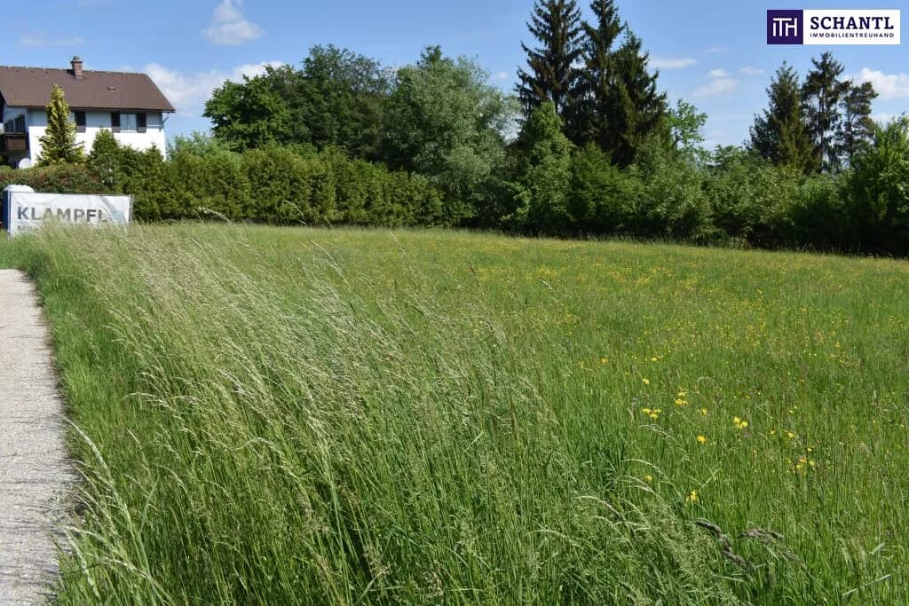Grundstück kaufen in Graz-Umgebung – 5 194 m², € 1.545.000 – Bild 6 von 23