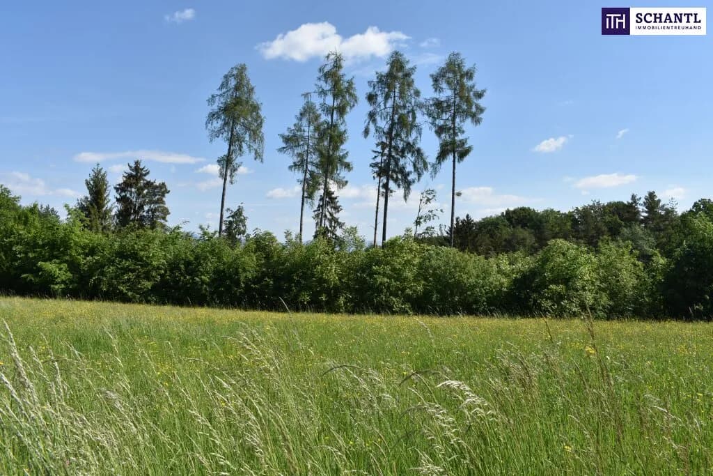 Grundstück kaufen in Graz-Umgebung – 5 194 m², € 1.545.000 – Bild 11 von 23