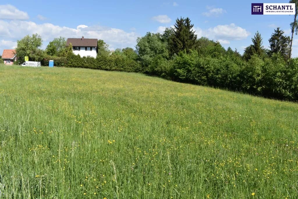 Grundstück kaufen in Graz-Umgebung – 5 194 m², € 1.545.000 – Bild 13 von 23