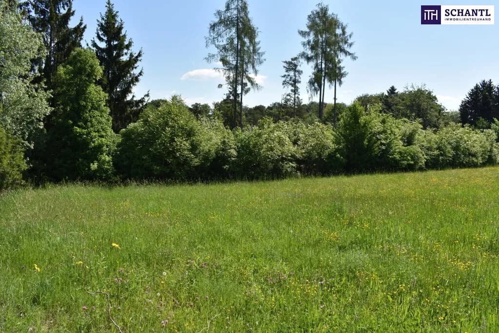 Grundstück kaufen in Graz-Umgebung – 5 194 m², € 1.545.000 – Bild 14 von 23
