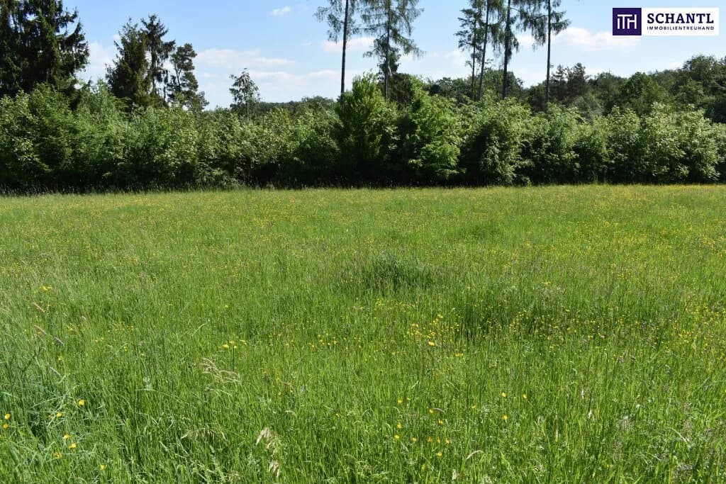 Grundstück kaufen in Graz-Umgebung – 5 194 m², € 1.545.000 – Bild 16 von 23