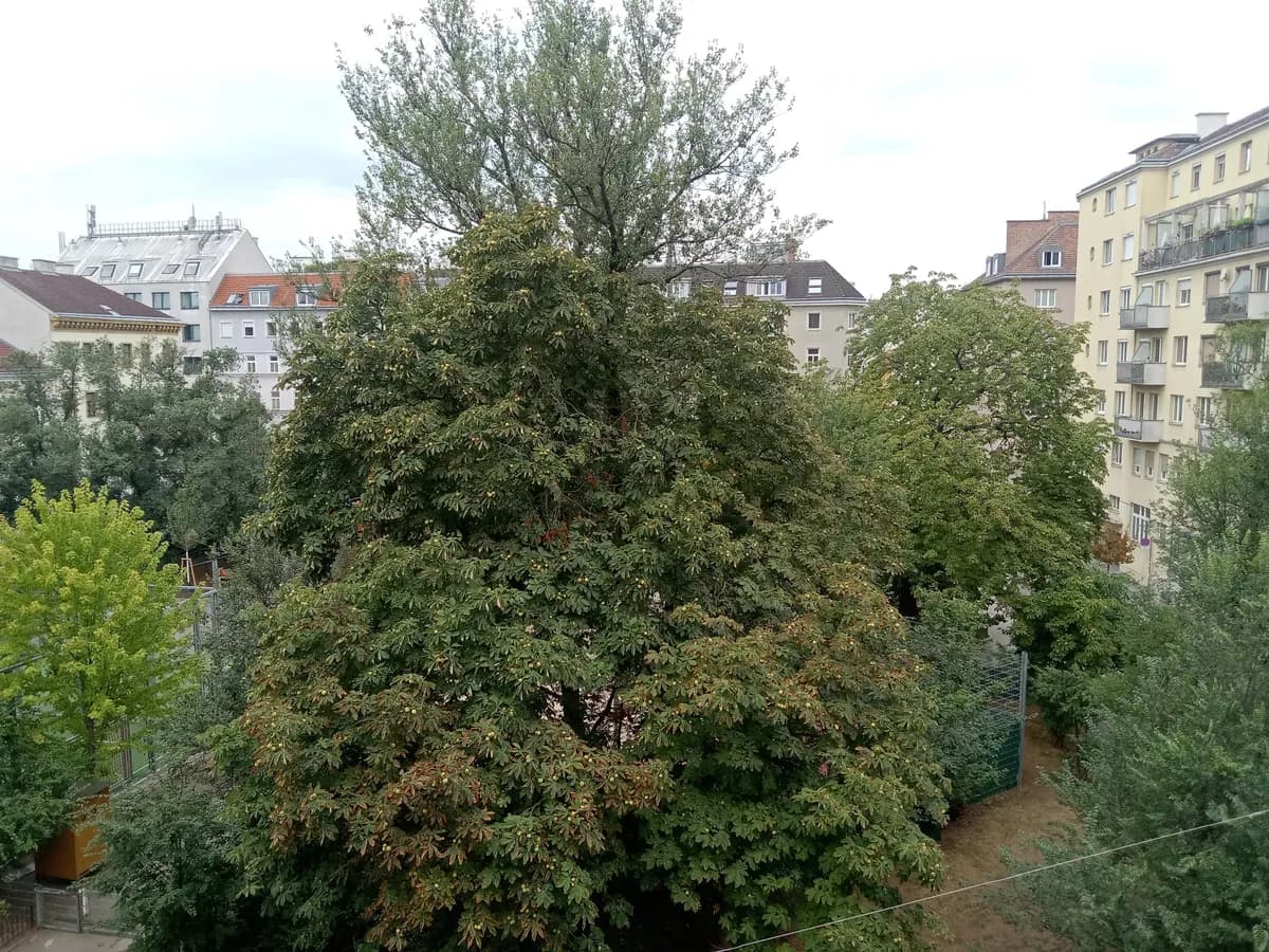 2-Zimmer-Wohnung kaufen in Wien – 61 m², € 197.000