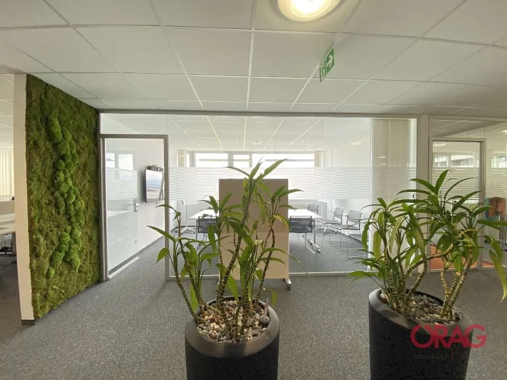 Gewerbeimmobilie mieten in Linz – 274 m², € 3.804 – Bild 5 von 9