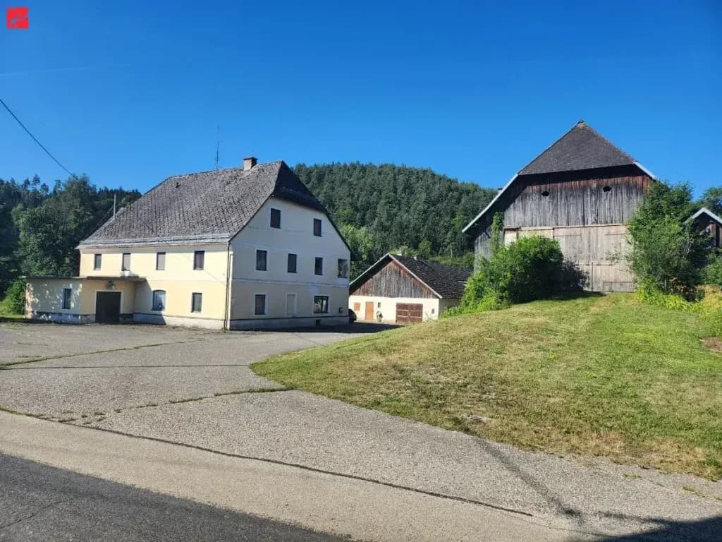 9-Zimmer-Haus kaufen in Völkermarkt – 384 m², € 1.700.000