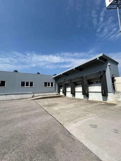 Immobilie mieten in Linz Land – 1 175 m² – Bild 5 von 15