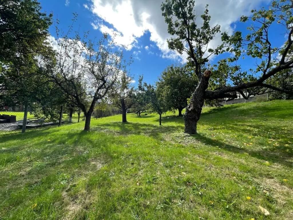 Haus kaufen in Oberwart – 106 m², € 149.000 – Bild 20 von 42