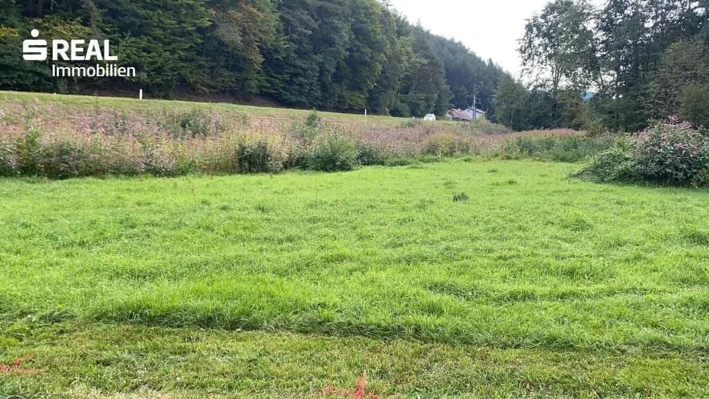 Grundstück kaufen in Wiener Neustadt Land – 808 m², € 80.000