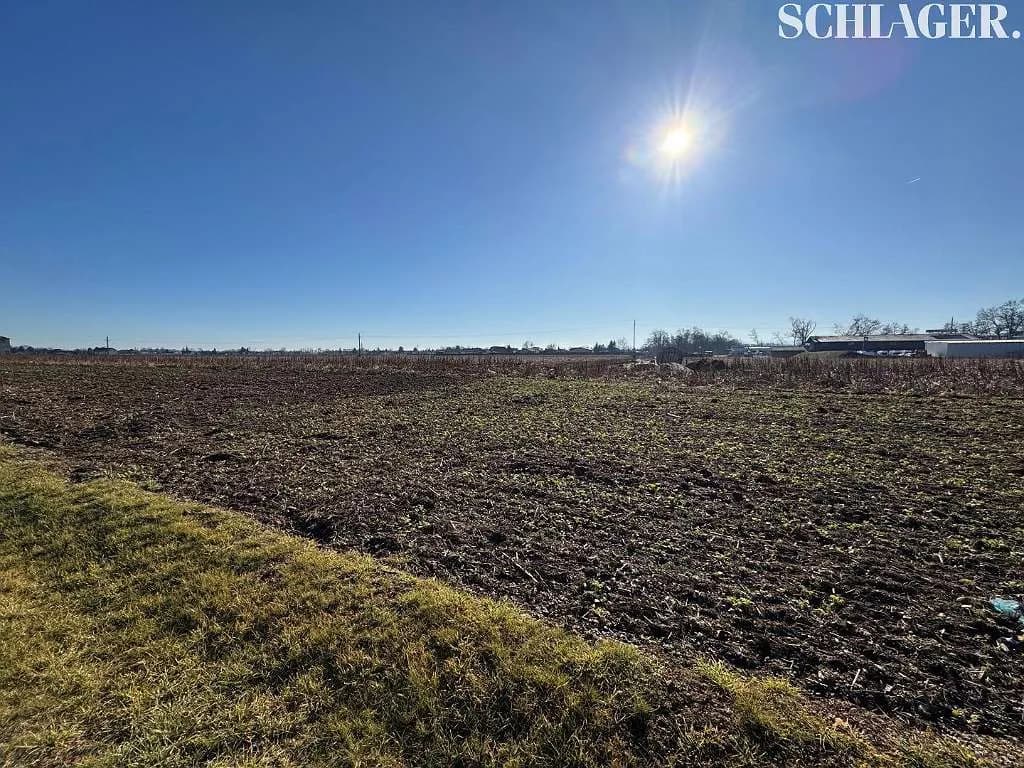 Immobilie kaufen in Leibnitz – 10 000 m²