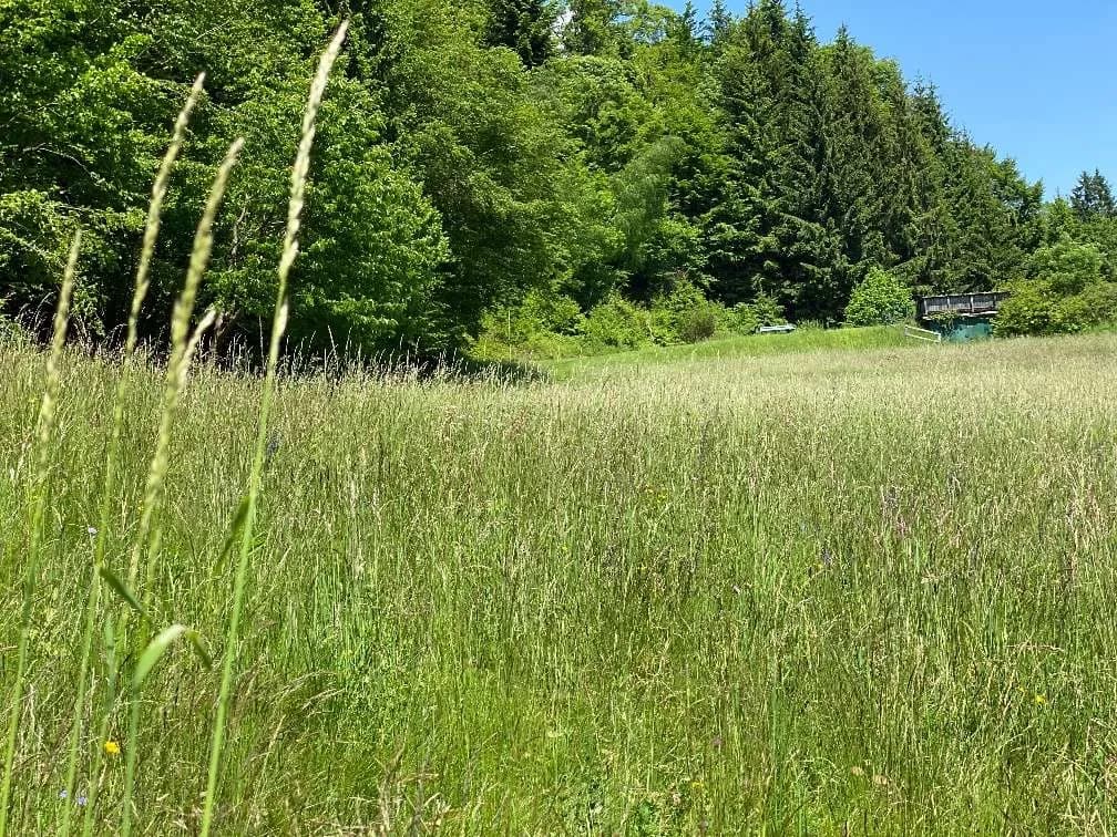 Grundstück kaufen in Klagenfurt Land – 1 672 m², € 332.728