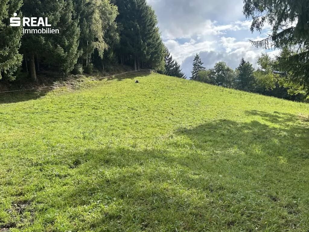 Grundstück kaufen in Liezen – 1 086 m², € 153.000 – Bild 2 von 4