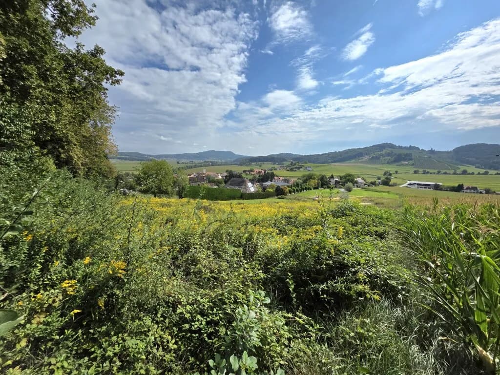 Grundstück kaufen in Leibnitz – 665 m², € 59.999 – Bild 2 von 8