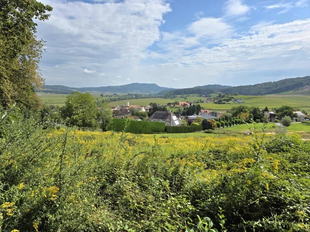 Grundstück kaufen in Leibnitz – 665 m², € 59.999 – Bild 3 von 8