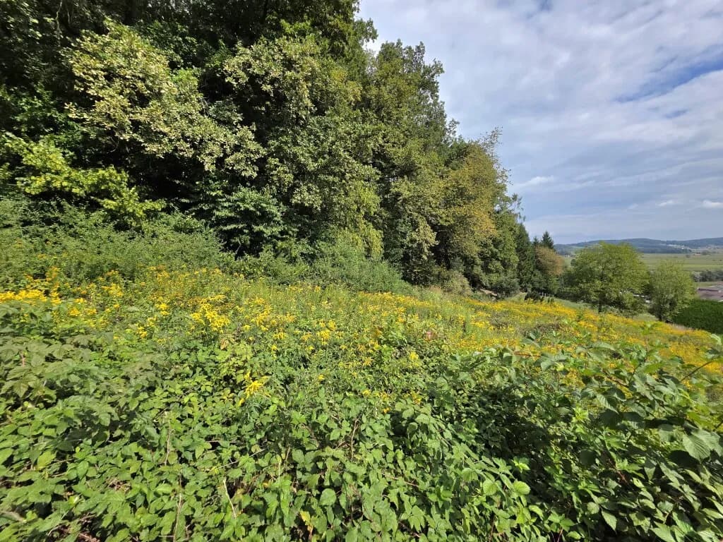 Grundstück kaufen in Leibnitz – 665 m², € 59.999 – Bild 4 von 8