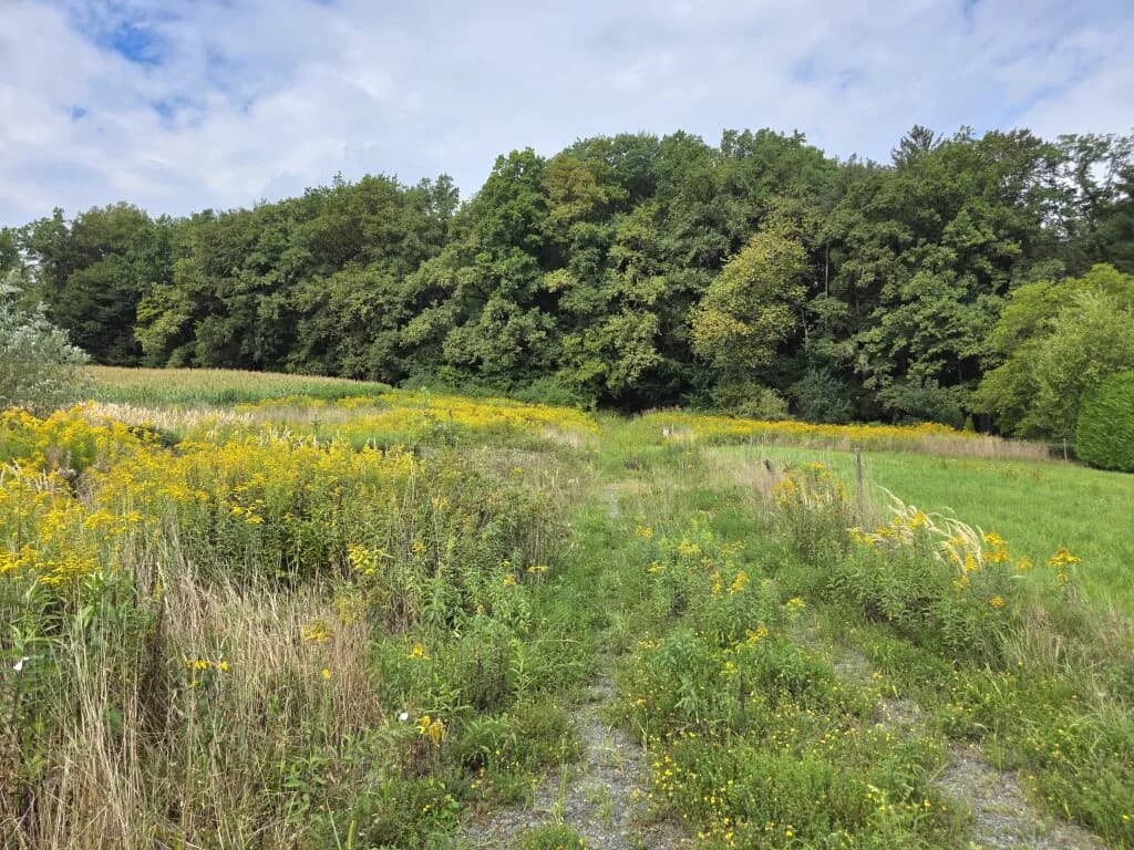 Grundstück kaufen in Leibnitz – 665 m², € 59.999 – Bild 5 von 8