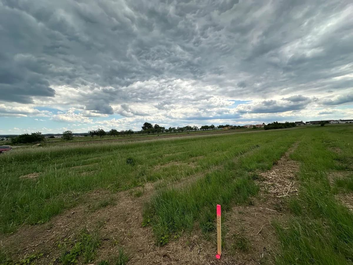 Grundstück kaufen in Eisenstadt – 585 m², € 204.750 – Bild 6 von 8
