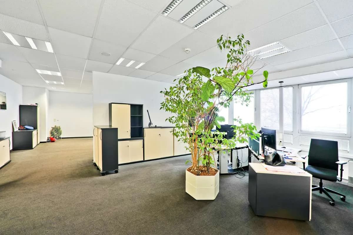 Gewerbeimmobilie mieten in Wien – 5 000 m², € 9 – Bild 21 von 24