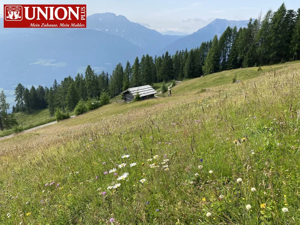 Immobilie kaufen in Spittal an der Drau – 0 m² – Bild 1 von 5