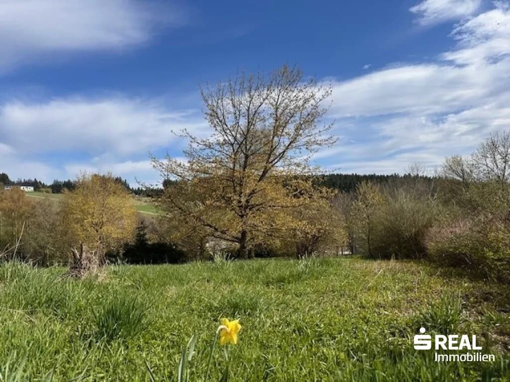 Grundstück kaufen in Urfahr-Umgebung – 1 176 m², € 210.000