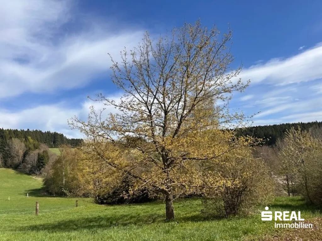 Grundstück kaufen in Urfahr-Umgebung – 1 176 m², € 210.000 – Bild 2 von 12