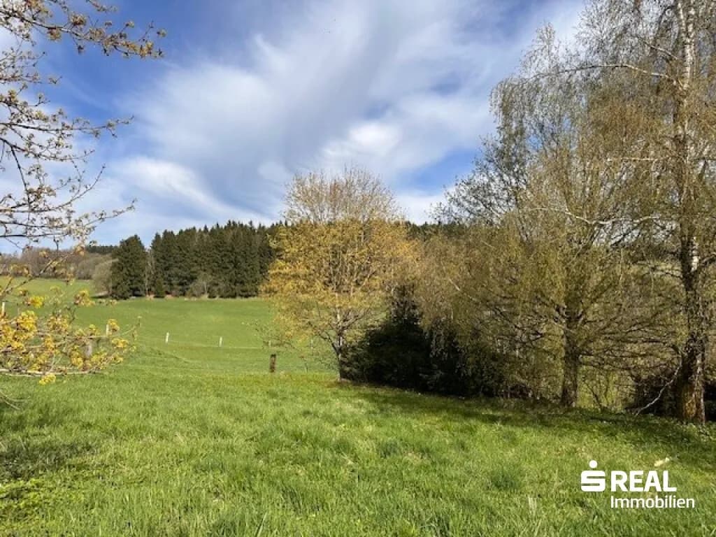 Grundstück kaufen in Urfahr-Umgebung – 1 176 m², € 210.000 – Bild 3 von 12