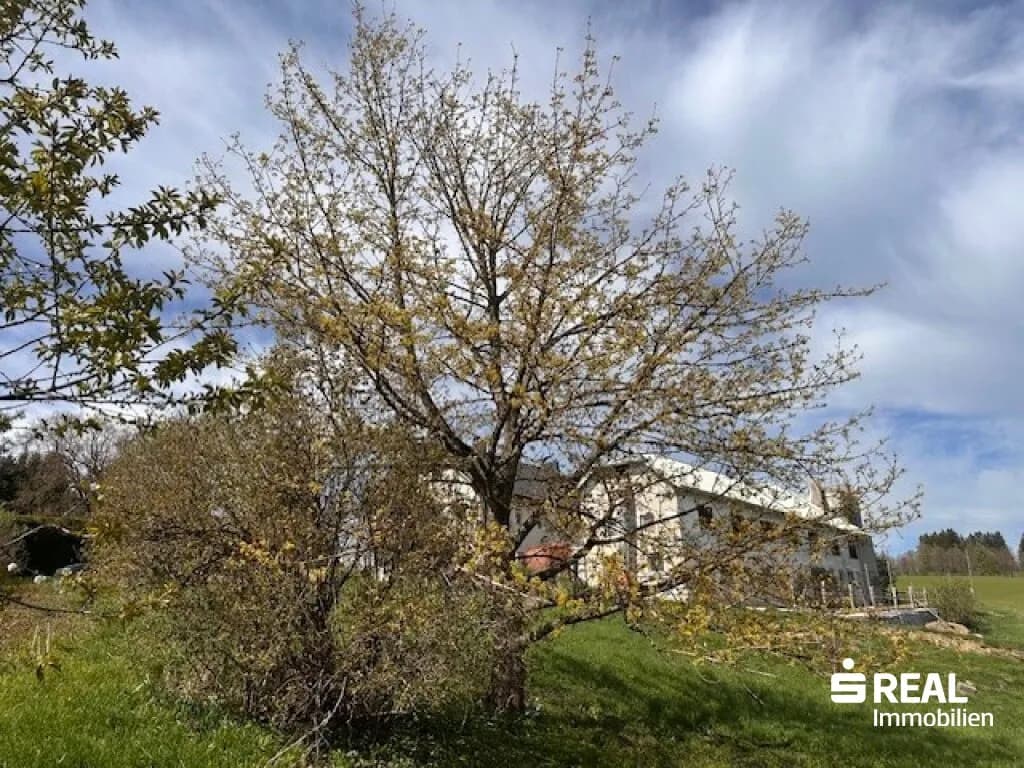 Grundstück kaufen in Urfahr-Umgebung – 1 176 m², € 210.000 – Bild 4 von 12