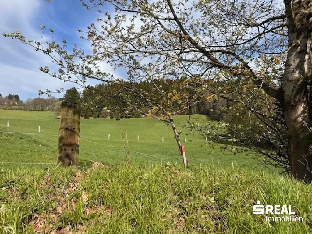 Grundstück kaufen in Urfahr-Umgebung – 1 176 m², € 210.000 – Bild 5 von 12
