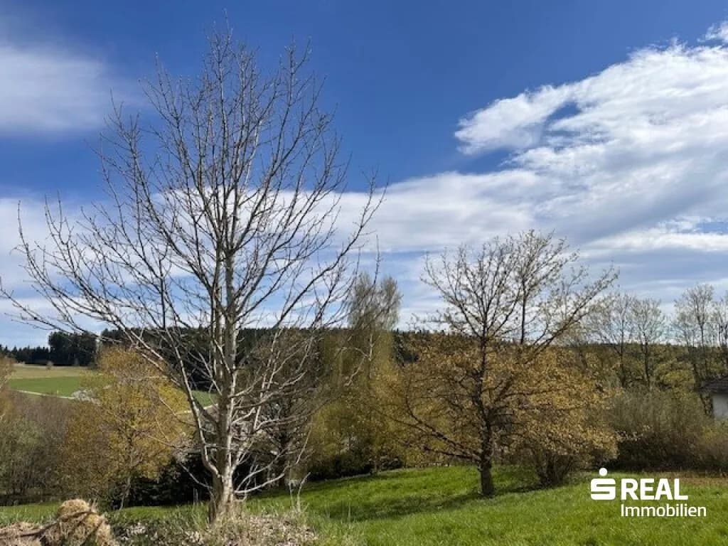 Grundstück kaufen in Urfahr-Umgebung – 1 176 m², € 210.000 – Bild 9 von 12