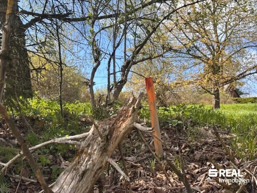 Grundstück kaufen in Urfahr-Umgebung – 969 m², € 135.000 – Bild 8 von 8