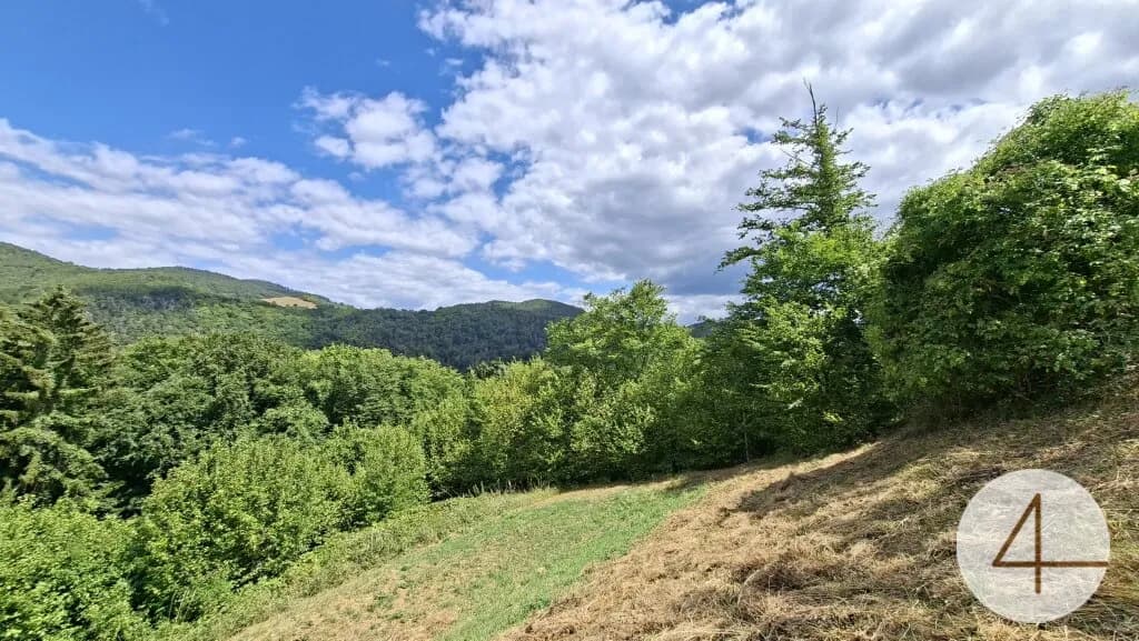 Grundstück kaufen in Melk – 1 776 m², € 39.000 – Bild 2 von 10