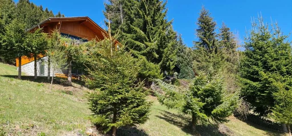 2-Zimmer-Wohnung mieten in Wolfsberg – 50 m², € 280 – Bild 17 von 23