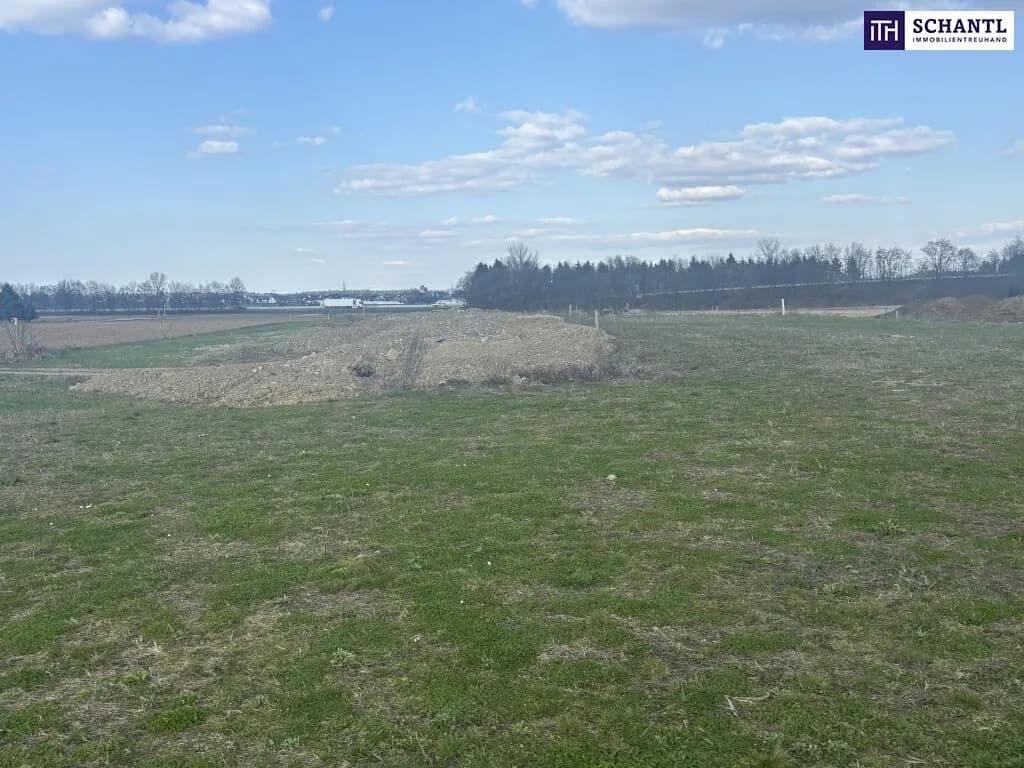 Immobilie kaufen in Leibnitz – 10 000 m², € 1.900.000 – Bild 2 von 7