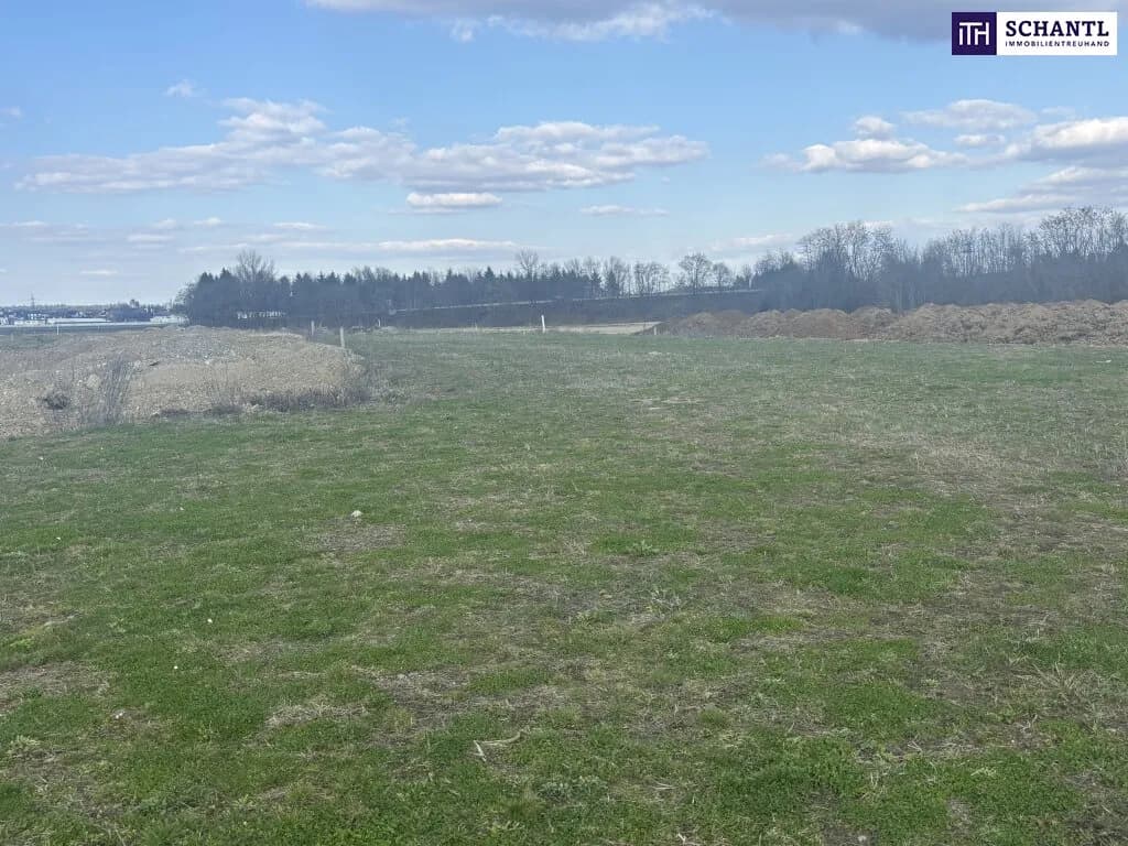 Immobilie kaufen in Leibnitz – 10 000 m², € 1.900.000 – Bild 4 von 7