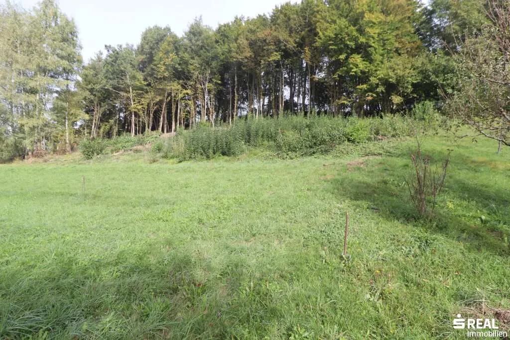 Grundstück kaufen in Klagenfurt Land – 1 064 m², € 99.500 – Bild 5 von 5