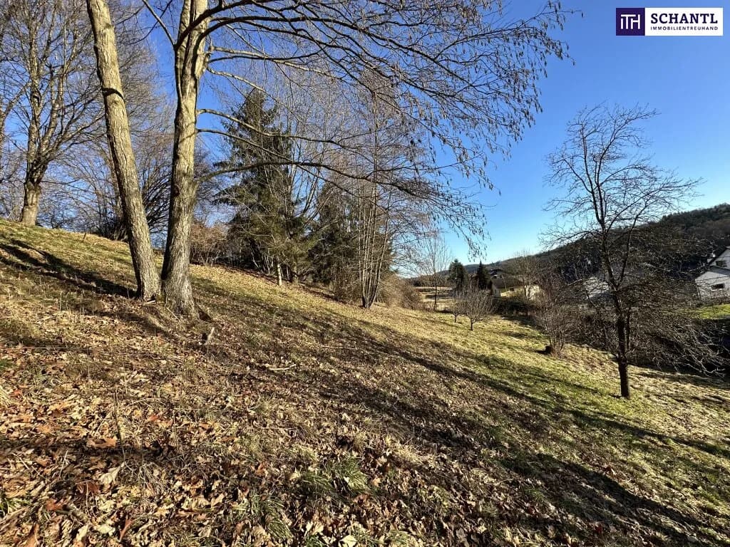 Grundstück kaufen in Graz-Umgebung – 2 949 m², € 235.000 – Bild 3 von 32