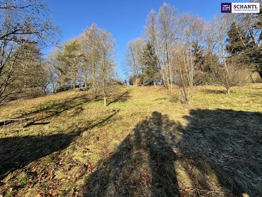 Grundstück kaufen in Graz-Umgebung – 2 949 m², € 235.000 – Bild 4 von 32