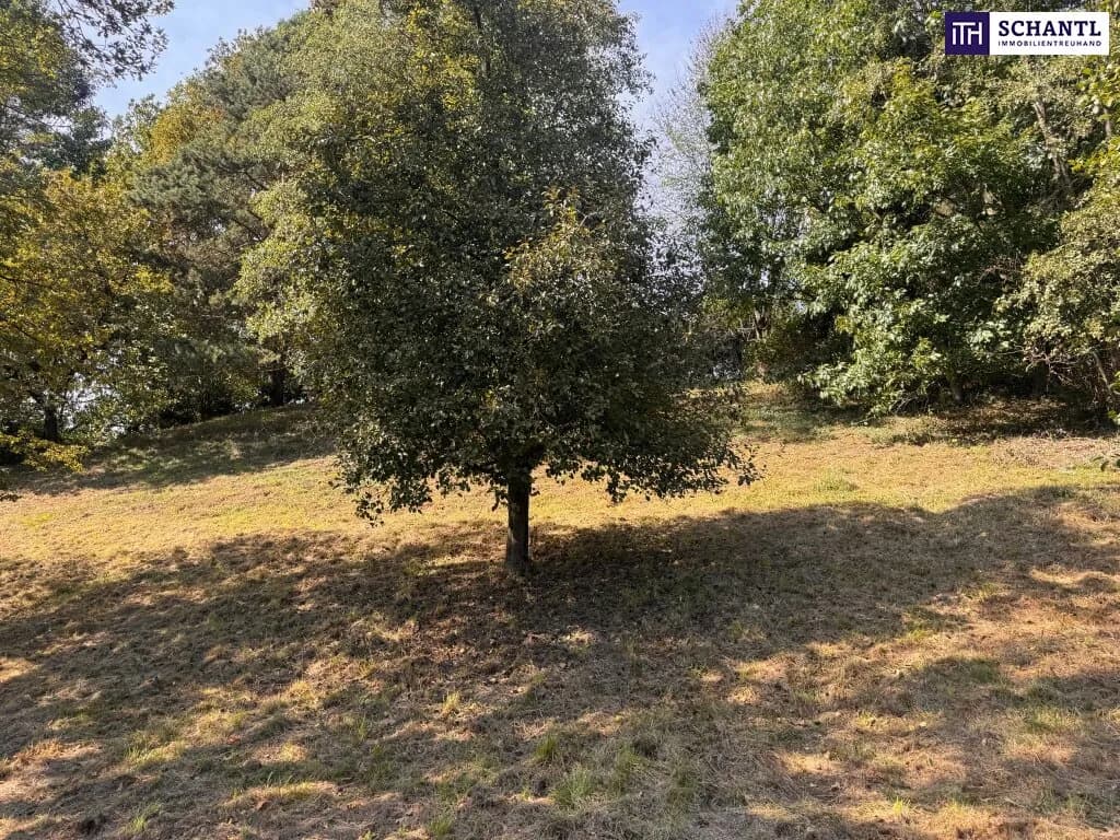 Grundstück kaufen in Graz-Umgebung – 2 949 m², € 235.000 – Bild 12 von 32