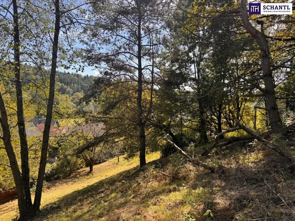 Grundstück kaufen in Graz-Umgebung – 2 949 m², € 235.000 – Bild 18 von 32