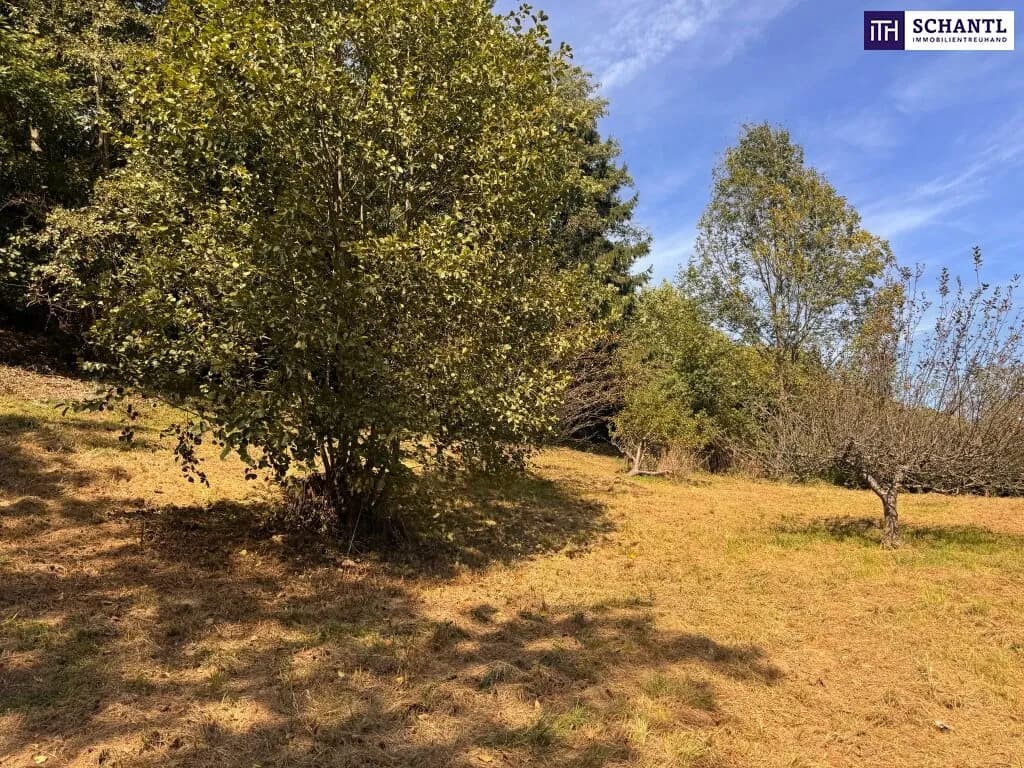 Grundstück kaufen in Graz-Umgebung – 2 949 m², € 235.000 – Bild 22 von 32