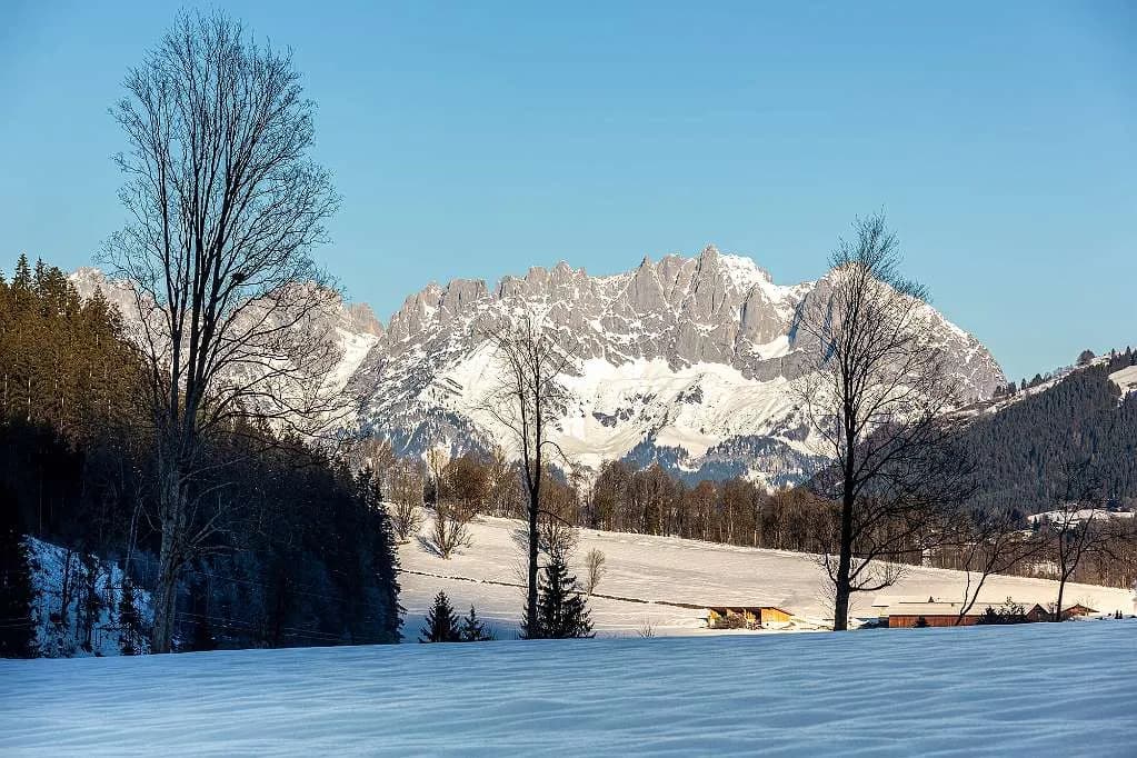 7-Zimmer-Immobilie kaufen in Kitzbühel – 1 010 m² – Bild 11 von 13