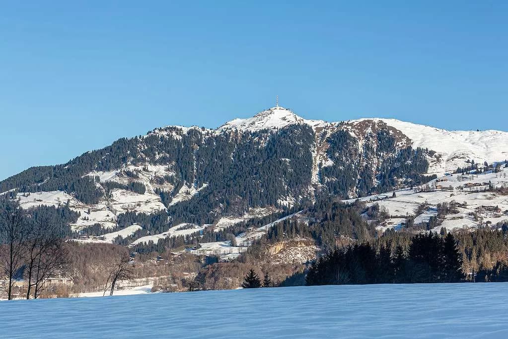 7-Zimmer-Immobilie kaufen in Kitzbühel – 1 010 m² – Bild 12 von 13