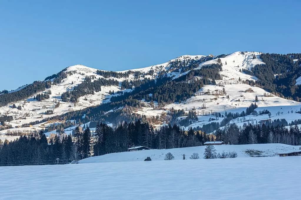 7-Zimmer-Immobilie kaufen in Kitzbühel – 1 010 m² – Bild 13 von 13